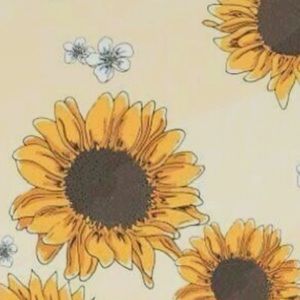 Meet your Posher, Lucy